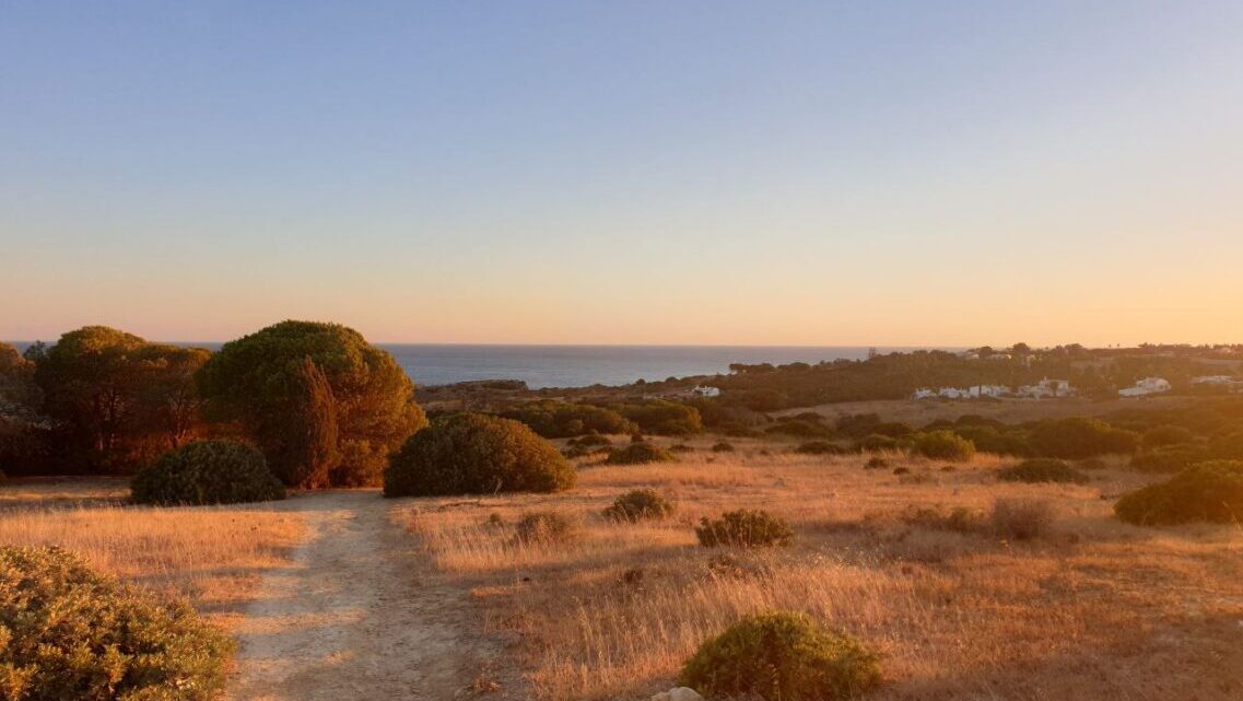 Auswandern nach Portugal und zurück Teil 2 Auswandern nach Portugal und zurück Teil 2