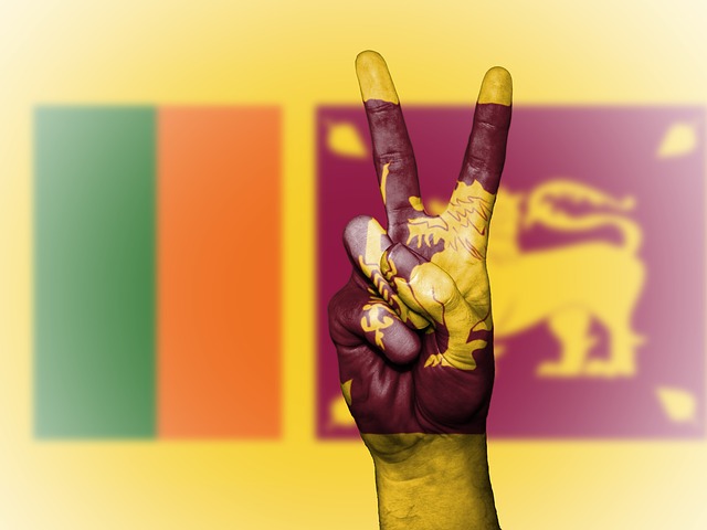 Sri Lanka in der Wirtschaftskrise: Anhaltende Proteste der Bevölkerung Sri Lanka in der Wirtschaftskrise: Anhaltende Proteste der Bevölkerung
