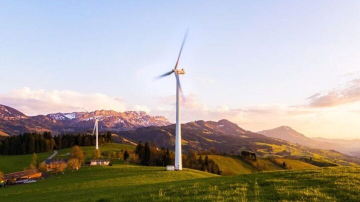 Maka Windkraft GmbH & Co. KG –               Täglich dreht sich mir der Magen um!