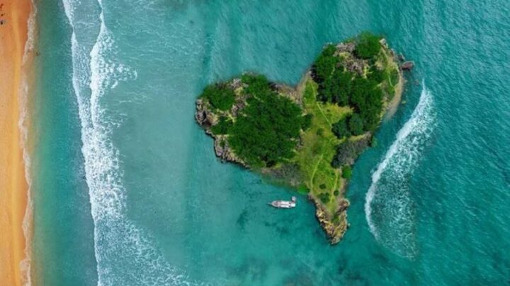 Die Insel der Gefühle