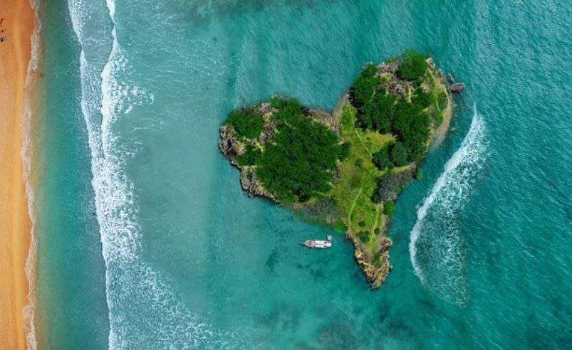 Die Insel der Gefühle Die Insel der Gefühle