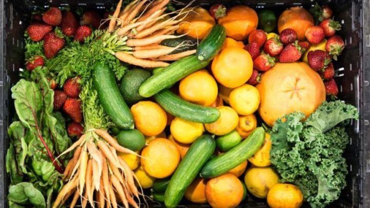 EU will Obst- und Gemüseanbau in Gärten verbieten!
