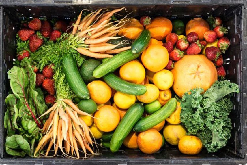 EU will Obst- und Gemüseanbau in Gärten verbieten!